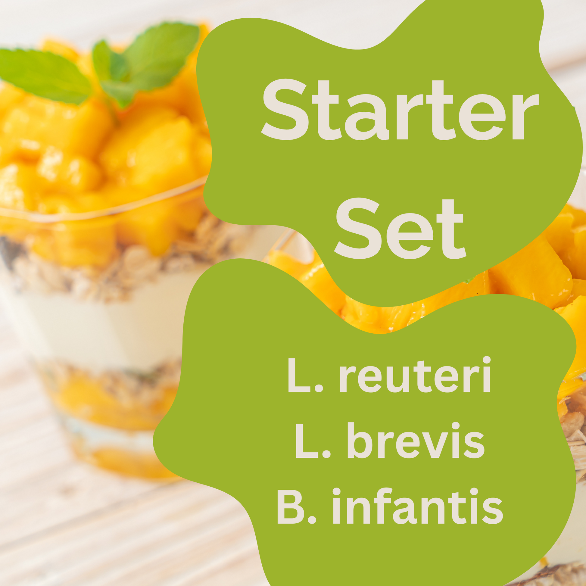 Starter Set "Neuro Gut" | L. reuteri, L. brevis, B. infantis Yogurt