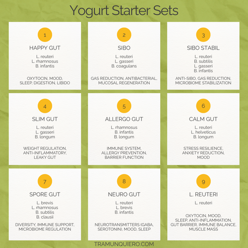 Starter Set L. reuteri, L. gasseri, B. coagulans Yogurt | SIBO Yogurt 